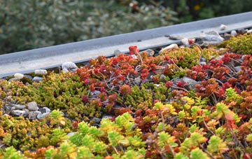 the cost of Lumburn green roof installation